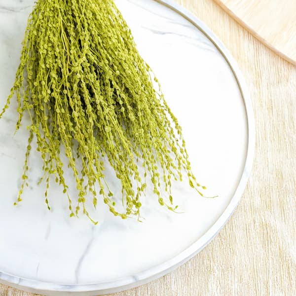 Lepidium (Lepidium sativum) - Lysegrøn