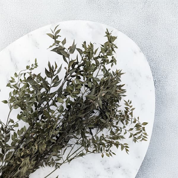 Tørret Ruscus - (Ruscus) - Naturlig