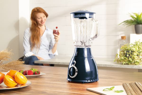 BERLINGER HAUS BH-9283 BLENDER BLANDER