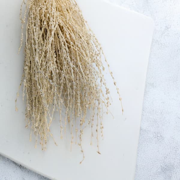 Lepidium (Lepidium sativum) - Blekt