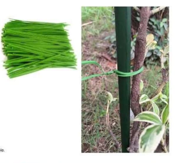 Twist Tie Trädgårdstråd 20 cm - 100 st. Belagd Grön Växttråd