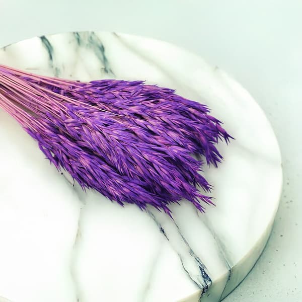 Kuivatut kaurat - violetti