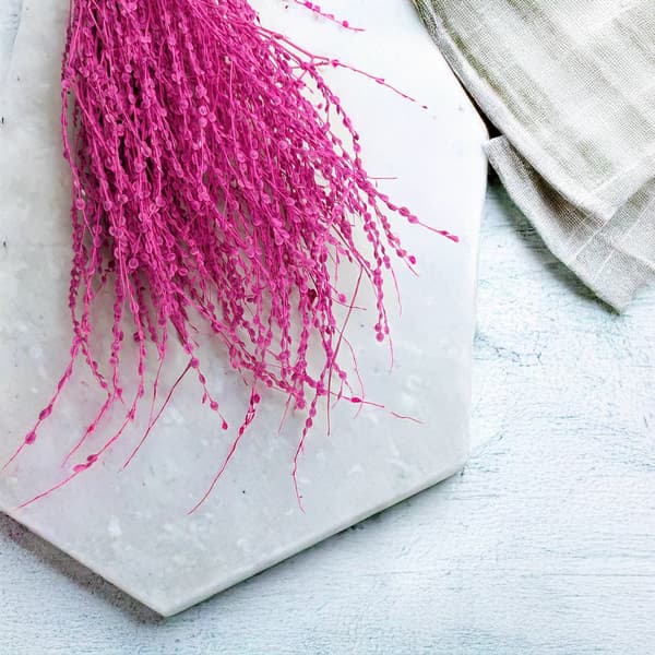 Lepidium (Lepidium sativum) - Fuksia