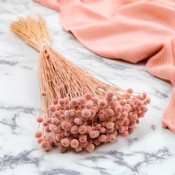 Botao Amarelino - (Amarelinho) - rosa