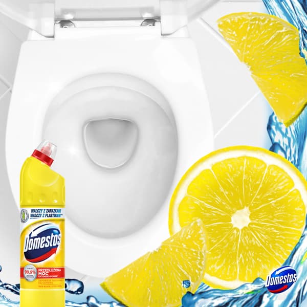 Domestos Citrus Fresh 750ml