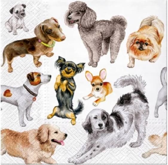 HUNDE Servietter Hunde 33x33cm 20 stk.