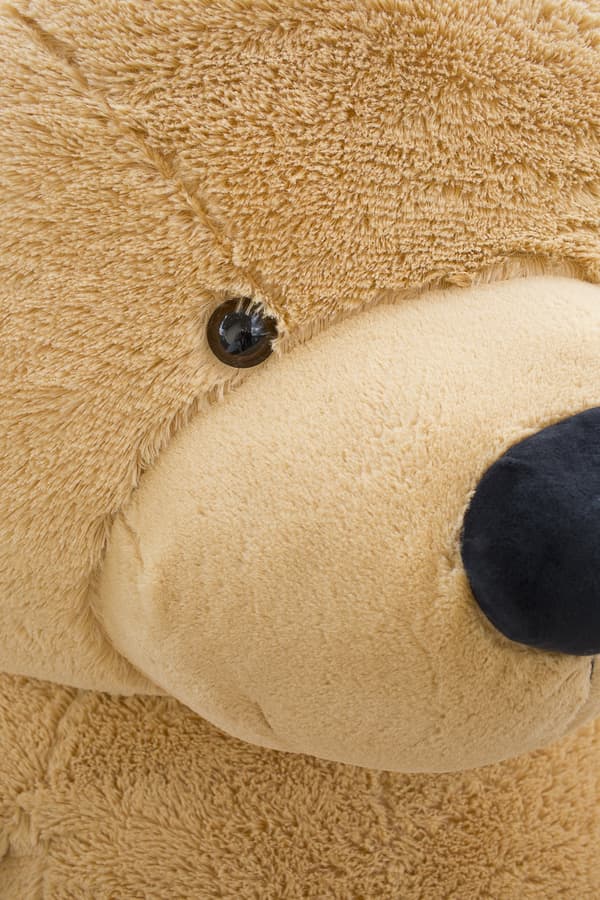 Teddy Classico 190cm - beige