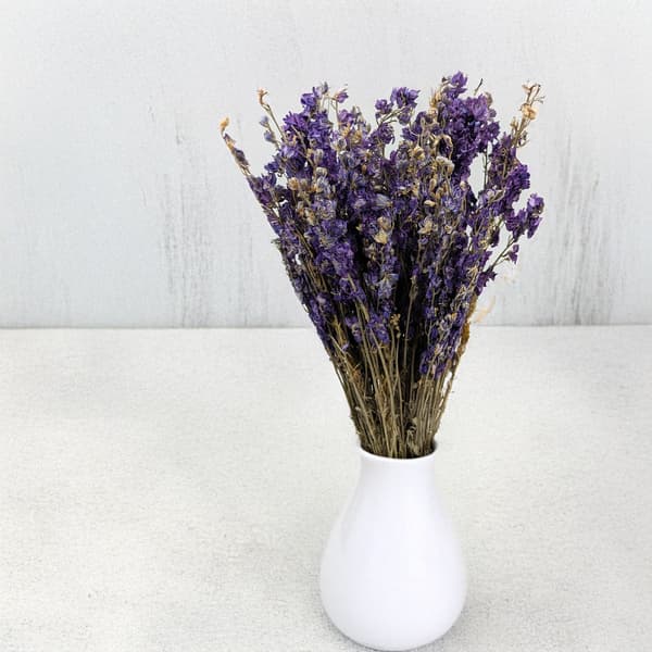 Kuivattu delphinium - (Delphinium) - sininen