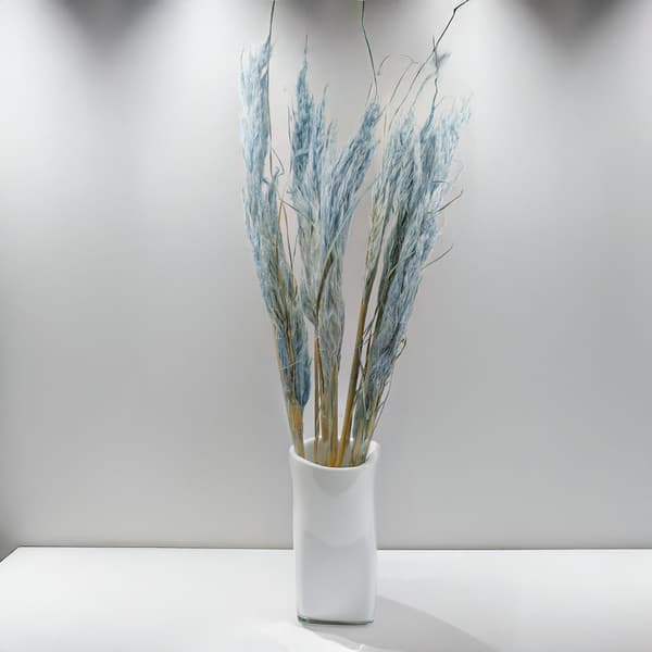Mini Pampas-ruoho - sininen - 10 kpl -