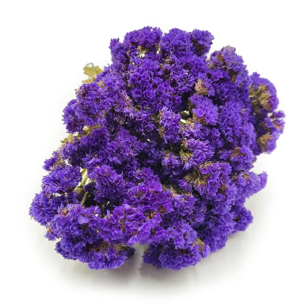 Limonium sinuatum - violetti