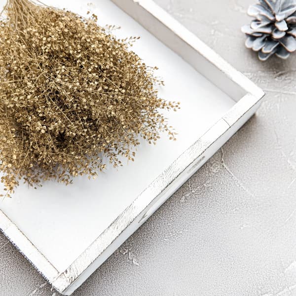 Lepidium (Lepidium sativum) - Kultainen