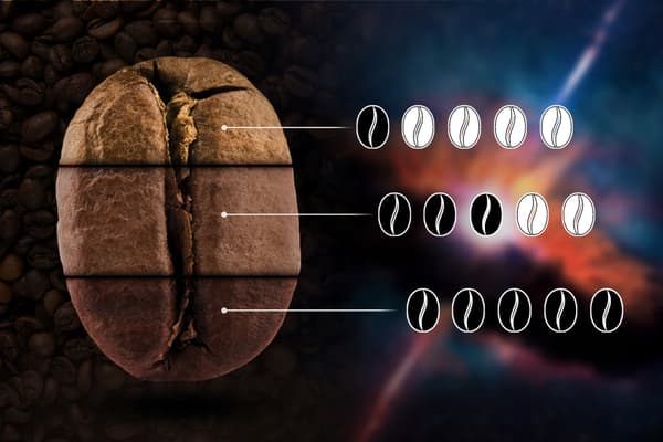 Twisted Pulsar Friskristet Malet Kaffe 500G