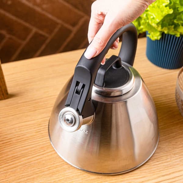STÅLKEDEL MED FLØJTE 2,5L KLAUSBERG KB-7951