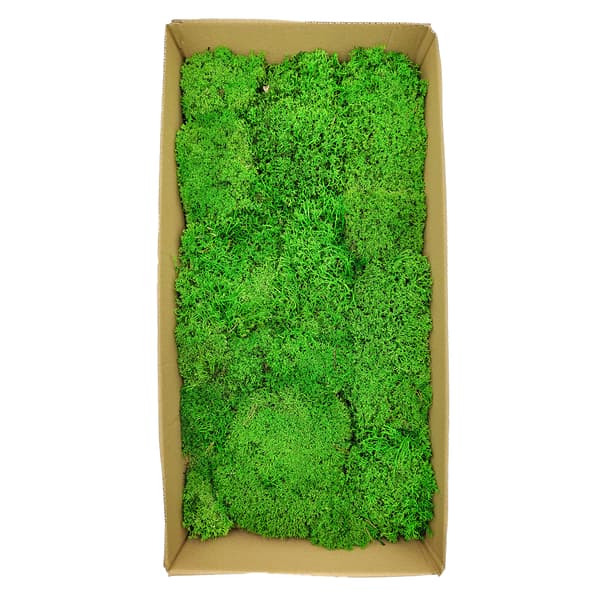 Renmossa - Sfärisk - Ljusgrön 60x30cm