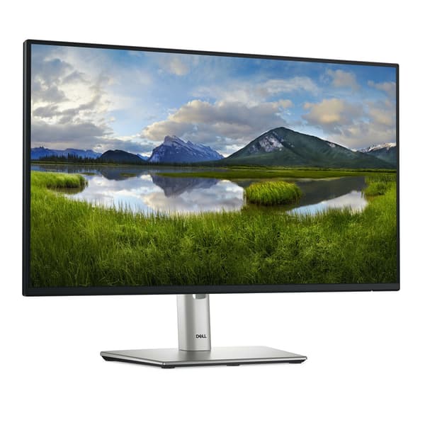DELL LED 24 P2425H-skærm