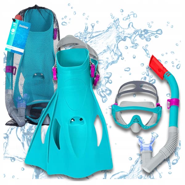 Dykset med dykmask snorkel simbrillor och fenor
