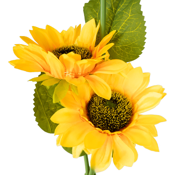 Dekorative have solcellelamper Rebel - solsikke