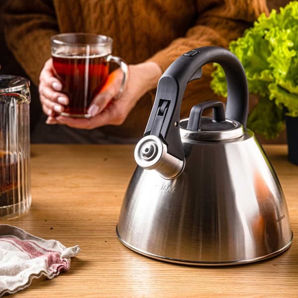 STÅLKEDEL MED FLØJTE 2,5L KLAUSBERG KB-7951