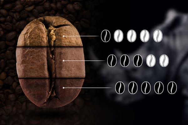 Nyrostade kaffebönor Arabica Kenya 250g
