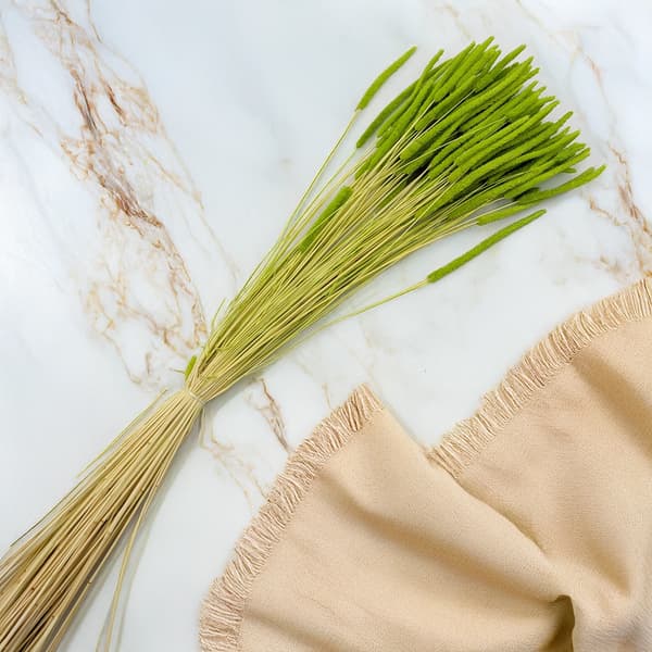 Kuivattu ruoho - Timotei (Phleum) - Vaaleanvihreä