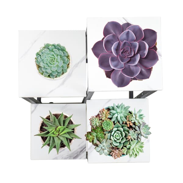 Stående blomställning, blomställ, krukor, 4 hyllor, loftstil