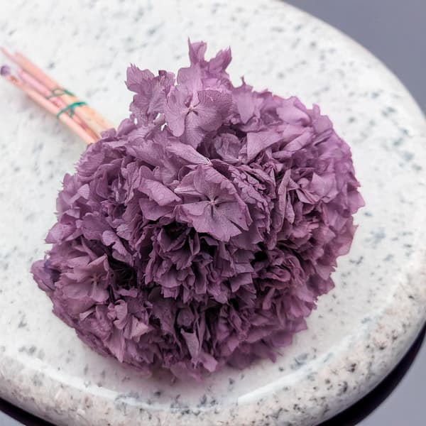 Stabiliserad hortensia (hortensia) - Lila