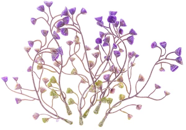 Blomster Blomster Klokker Dekorative Lilla 6 stk.