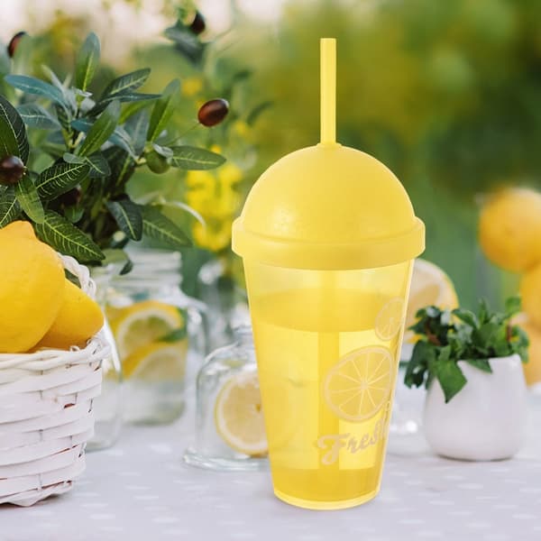Plastmugg med lock och sugrör 450 ml