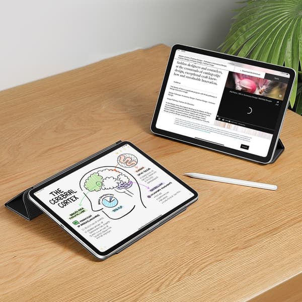 ESR REBOUND MAGNETIC IPAD PRO 11,5" / 2024 MUSTA