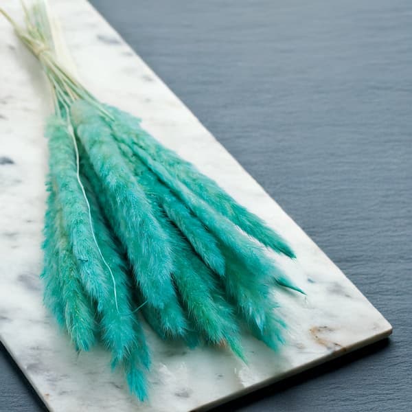 Mini Pampas-ruoho - Azuuri
