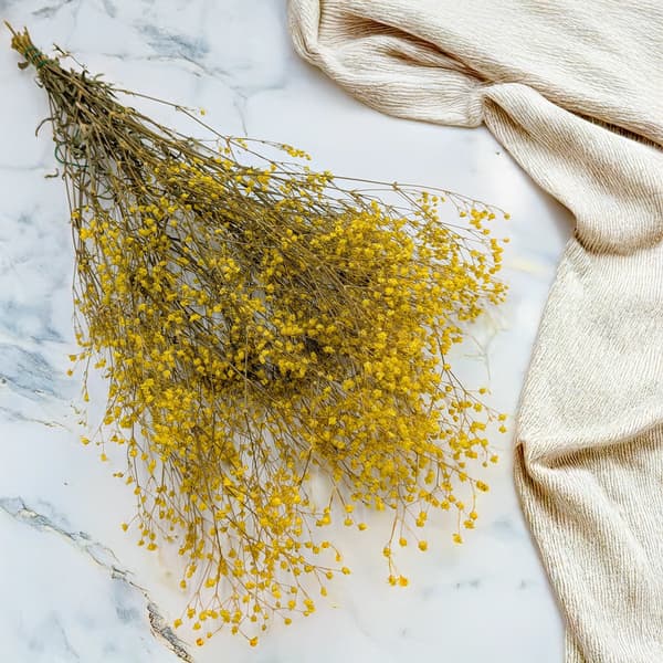 Stabiliserad Gypsophila - Pastellgul