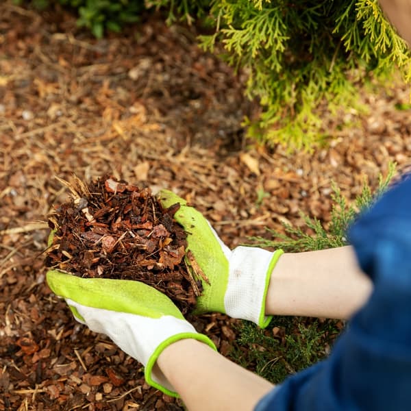 MEDIUM FYRREBARK 80L POLERET HAVEBARK 80L