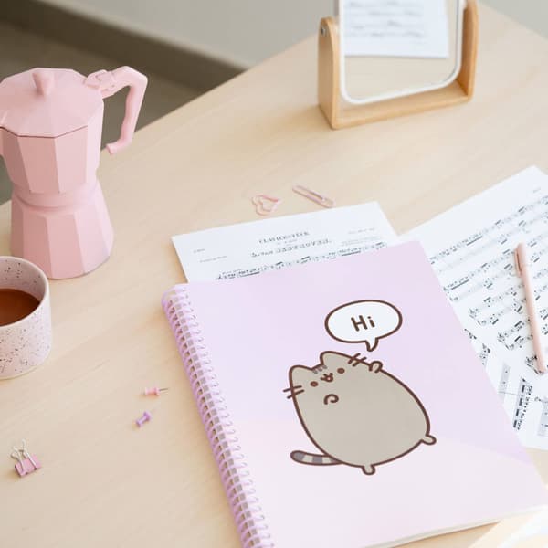 Pusheen - A4-kansio kuminauhalla + 30 kirkasta taskua