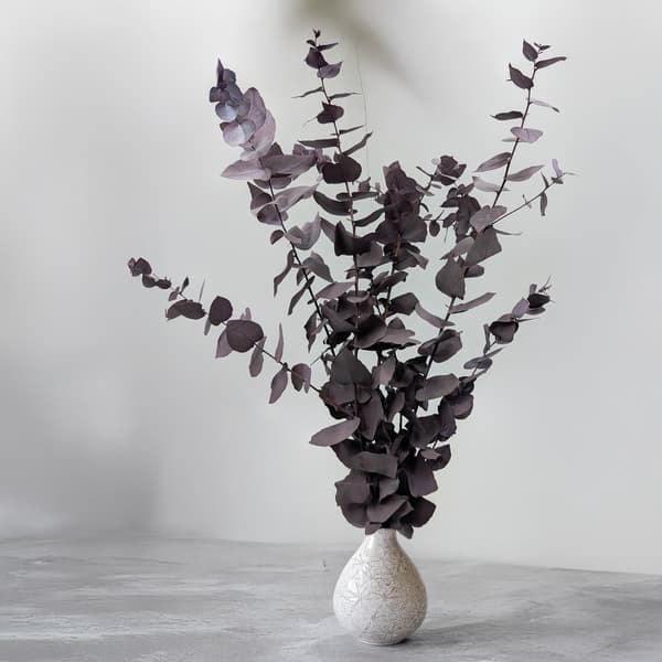 Stabiliseret Eukalyptus - Stuartiana - Kølig Violet