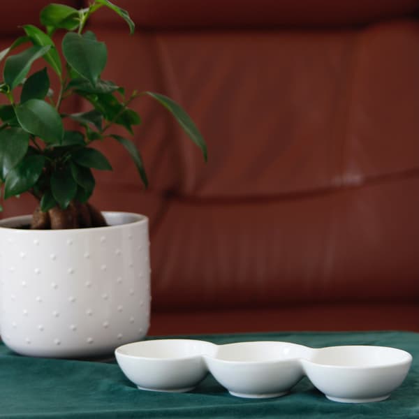 porcelænsbeholdere til dip og saucer
