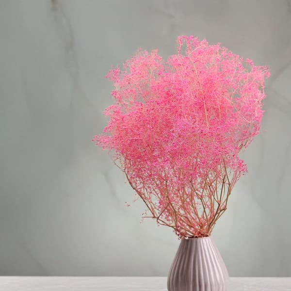 Stabiloitu kipsi MINI - (gypsophila) - Vaaleanpunainen