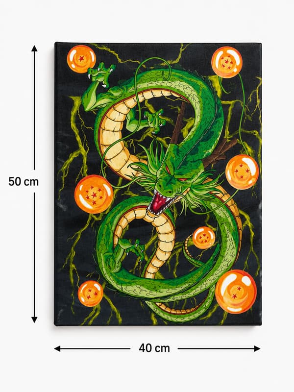 Målning med siffror Dragon Ball Shenron 40x50 cm