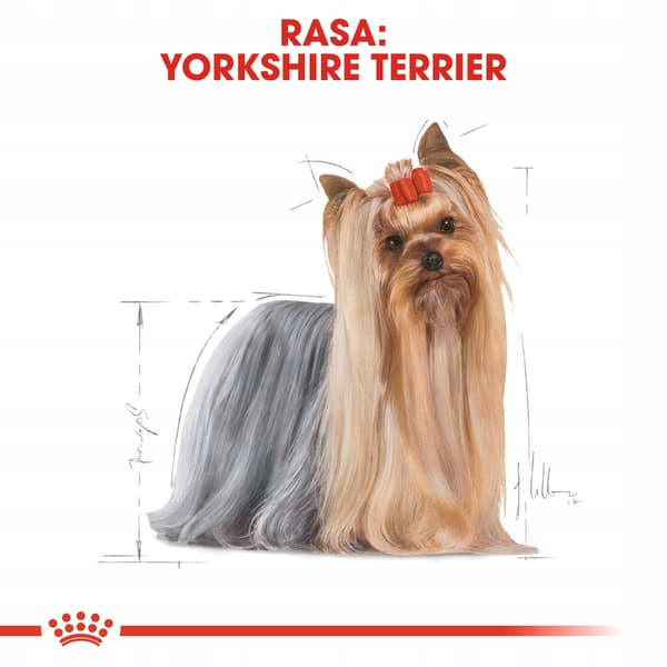 Royal Canin Yorkshire Terrier Adult Tørfoder til Hunde 3 kg