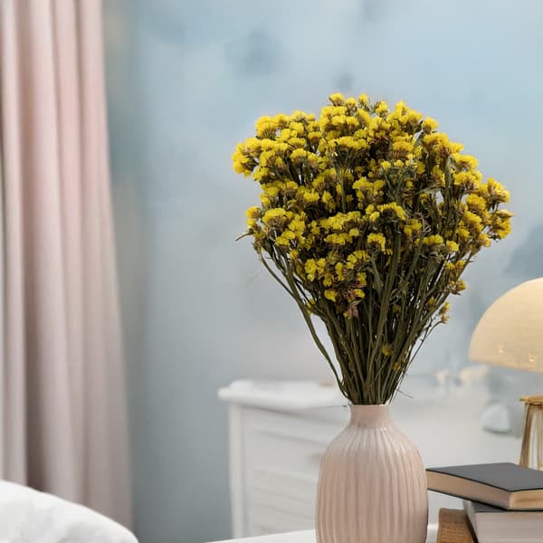 Limonium sinuatum - Keltainen