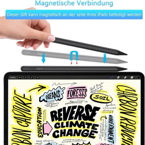 STYLUS PEN IPAD PRO AIR MINI 2018-2023 SORT AKTIV + TIPS KABEL