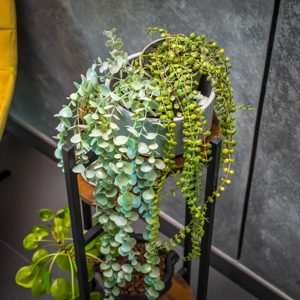 Stående blomsterstativ, metal, sort, træ, blomsterstativ, blomster, planter
