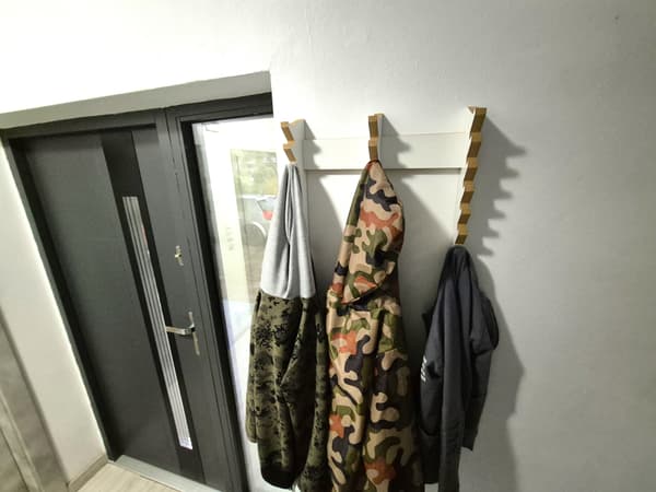 Julgransvägghängare i hallen - Igelkott
