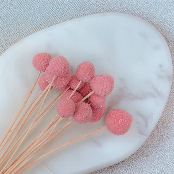 Torkad Craspedia - (Craspedia Extra) - Rosa - bukett med 15