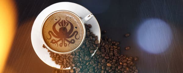 Provset med nyrostat Arabica-kaffe 17 x 50 g