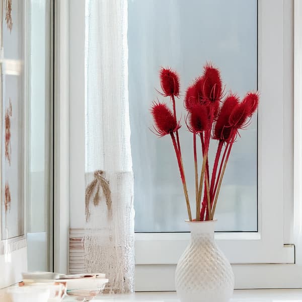 Kuivattu ohdake - (Teasel) - Punainen