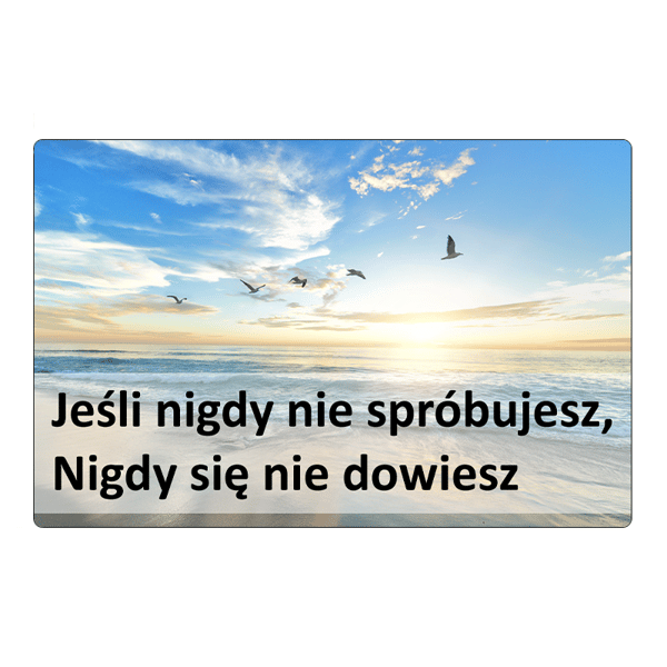 Køleskabsmagnet Hvis du aldrig prøver...