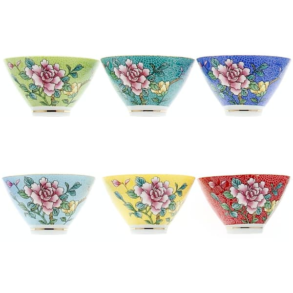 KOPPER TIL TE OG URTER 6 KOPPER PORCELÆN GAVE SÆT