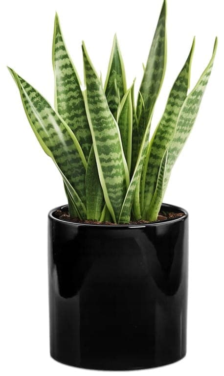 Sort keramisk hus, cylinder, 23 cm
