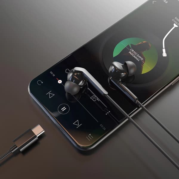 Dudao X3C+ Kablede USB-C In-Ear Hovedtelefoner 1,2m - Sort