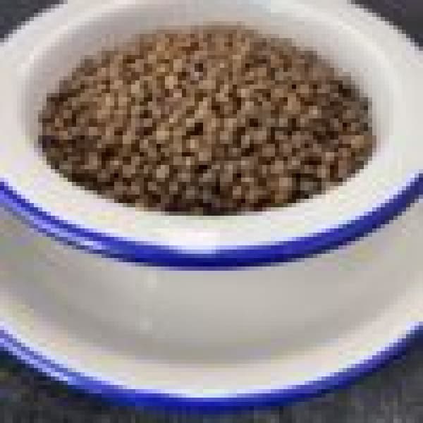 Folk Kitten tørfoder til katte med kanin og lam 7 kg